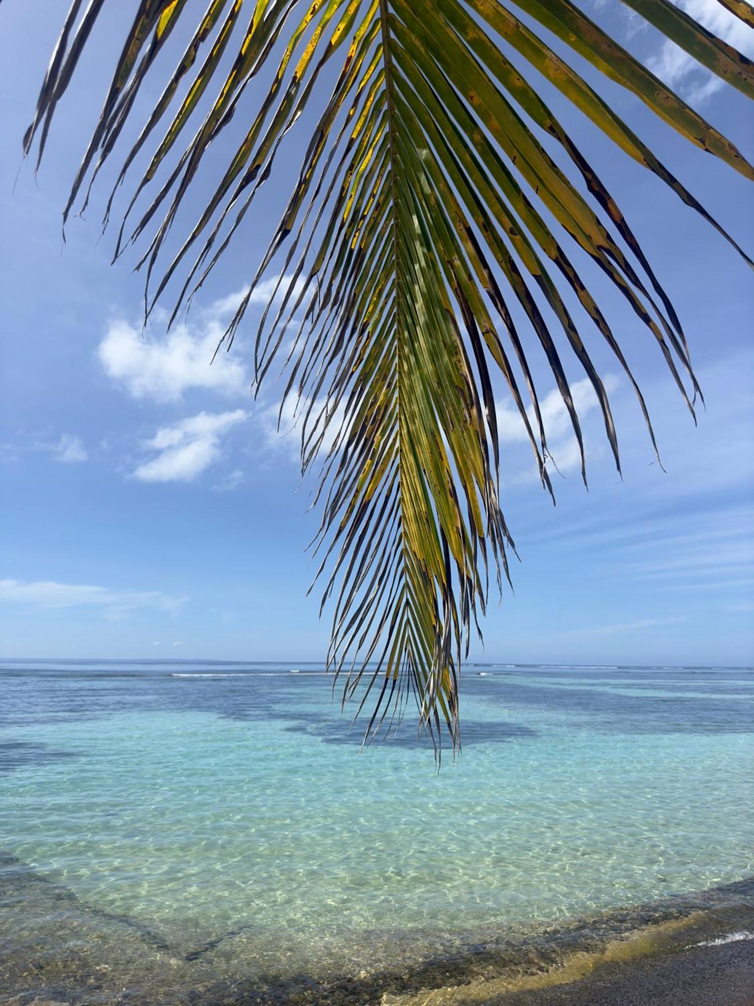 Unique : Pieds Dans L'Eau Face Au Lagon Sainte-Anne  Buitenkant foto